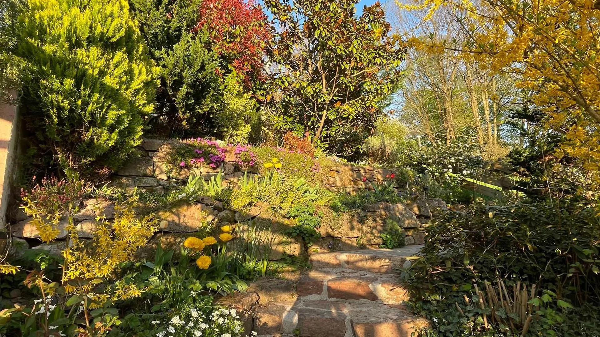 Am Berggarten Heidelberg Germany