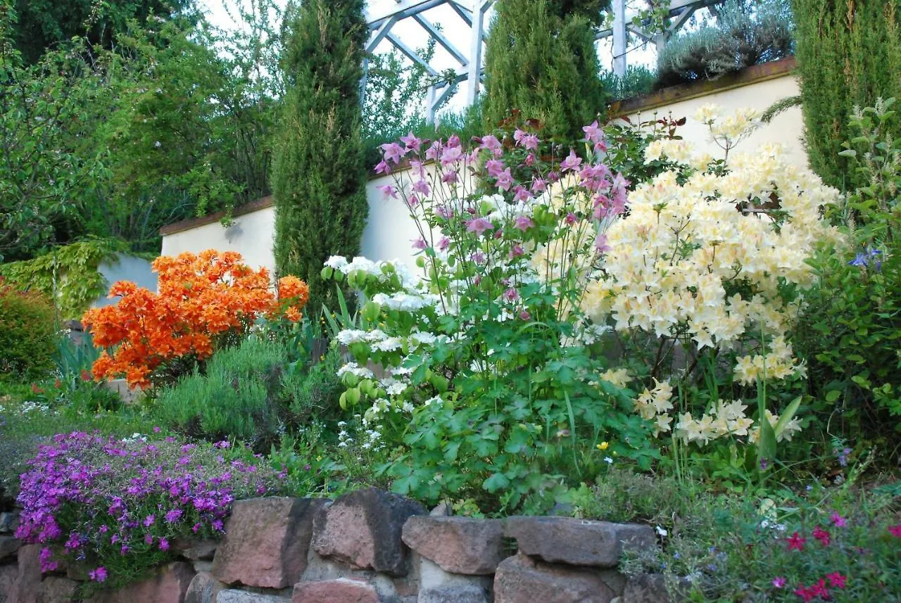 Am Berggarten Heidelberg Apartment